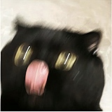 oiiiiiii的头像