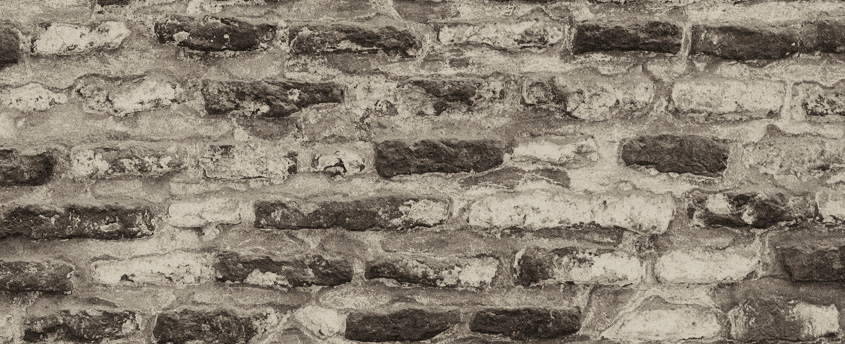 凉壹一的个人主页（背景预览） - 主页背景设置 - 站酷设计师凉壹一原创素材 - 站酷ZCOOL