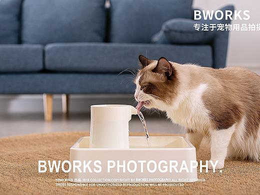 寵物產品拍攝 |  寵物飲水器