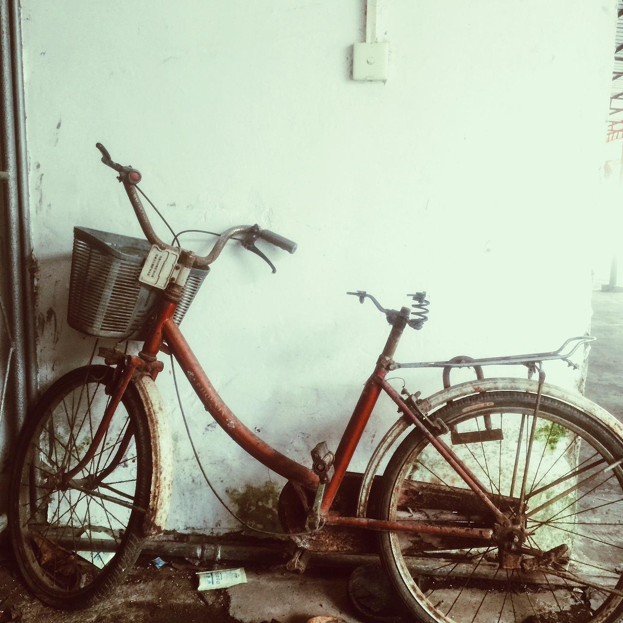 手机日常作品（图ZOTU0NDQyNDA=） - 人文/纪实摄影 - 站酷设计师李佩华原创素材 - 站酷ZCOOL