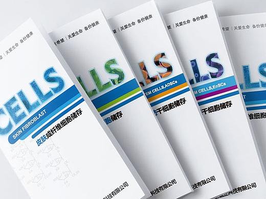 医疗折页宣传设计