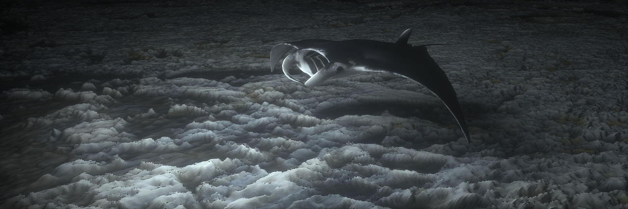 2019部分素材（下）（图ZMTg2MDQyNzg4） - 场景 - 站酷设计师二十一世纪小白原创素材 - 站酷ZCOOL