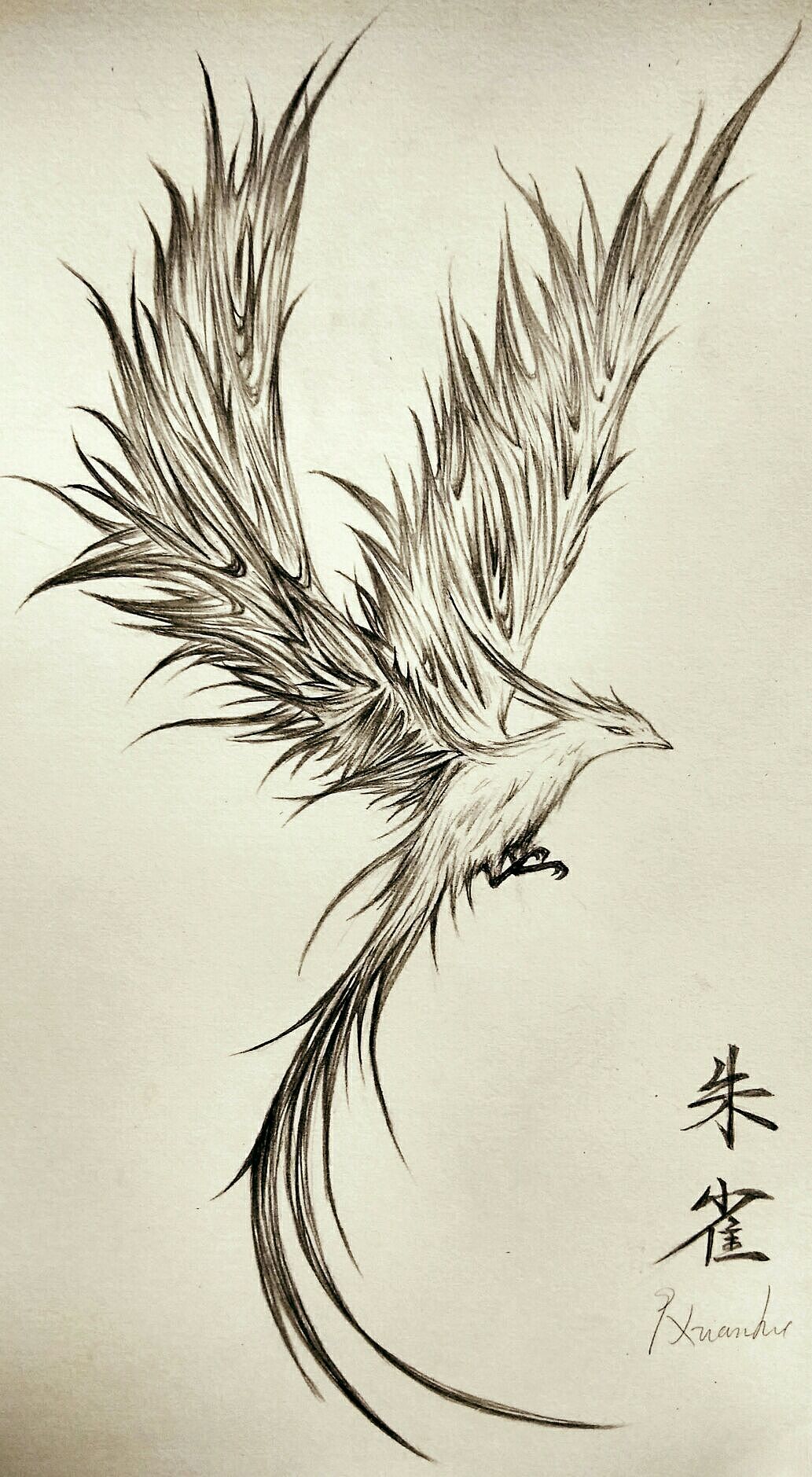 朱雀|纯艺术|绘画|玖玄狐_原创作品-站酷zcool