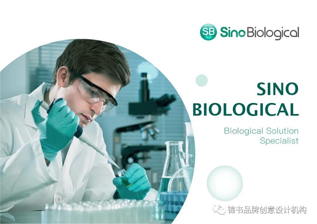 锦书品牌丨义翘神州：全新的医药生物品牌形象（图ZMjY5MDA0OTg4） - Logo - 站酷设计师锦书品牌原创素材 - 站酷ZCOOL