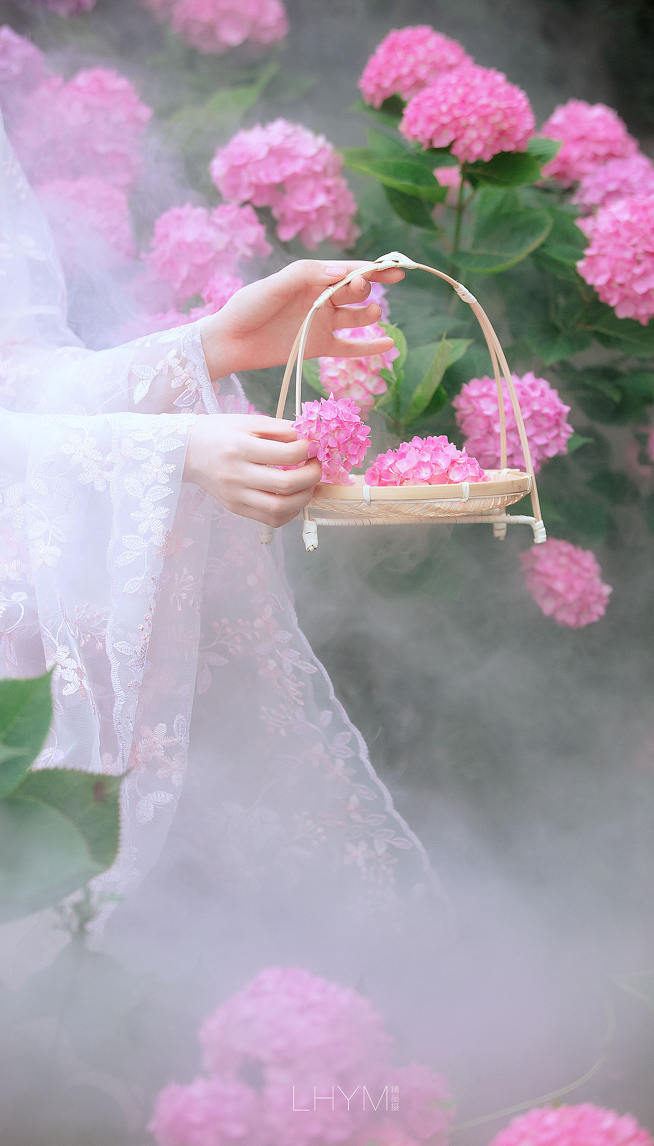 绣球花|摄影|人像摄影|宏密视觉_原创作品-站酷zcool