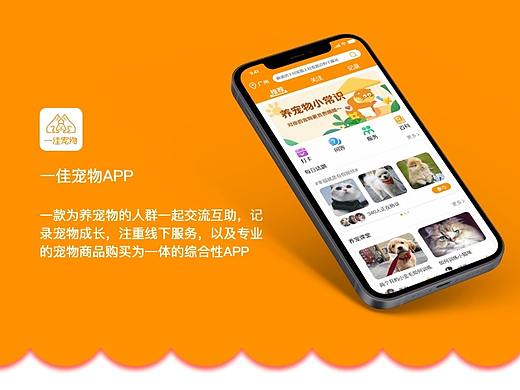 一佳宠物-宠物app（个人主页-ZNTg5NjMwNDg=） - APP界面 - 站酷设计师bjt1原创素材 - 站酷ZCOOL