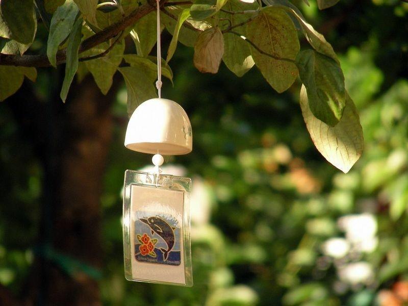 风吹故里云的个人主页（背景预览） - 主页背景设置 - 站酷设计师风吹故里云原创素材 - 站酷ZCOOL