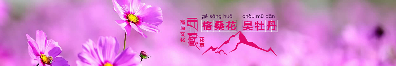 旅游类BANNER（图ZODE3MzgyNzY=） - 运营设计 - 站酷设计师清风入画原创素材 - 站酷ZCOOL