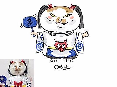 猫咪画像合集