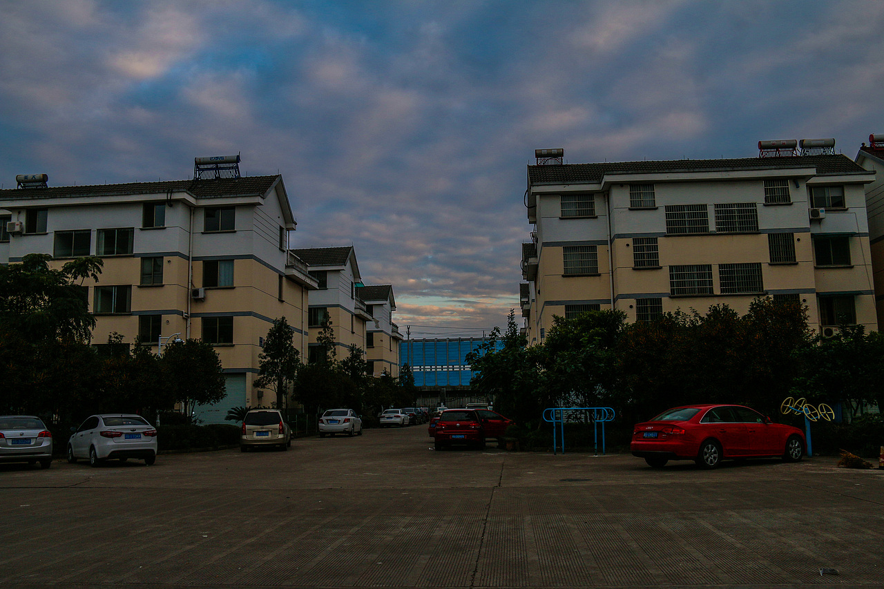 满城尽带桂花香。