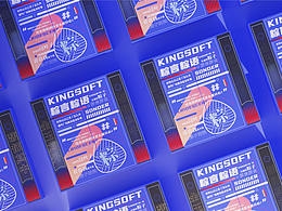 2020端午礼盒 | 废稿系列二《粽言粽语》