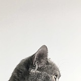 Jaye_Retoucher的头像