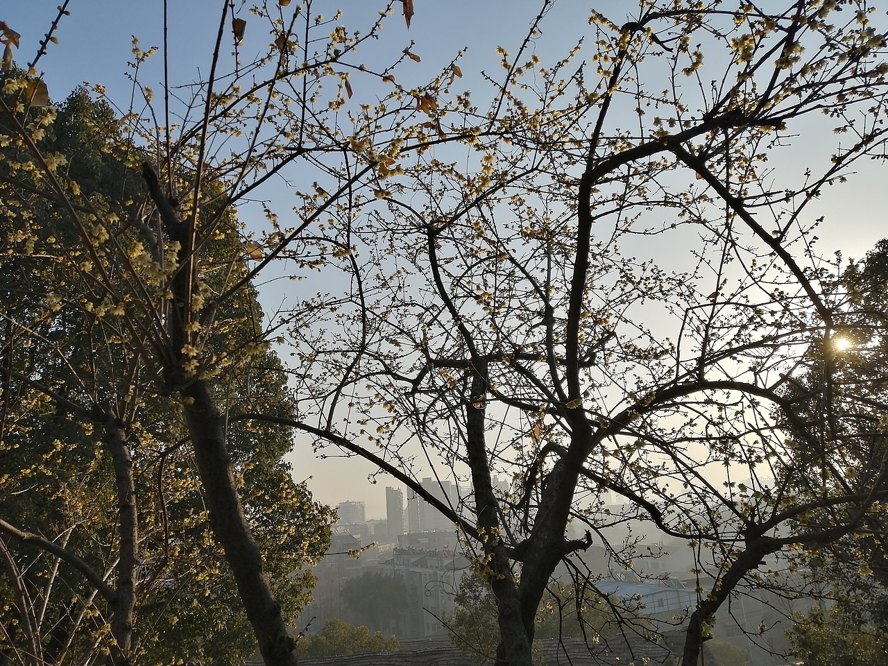 境源己造,相由心生