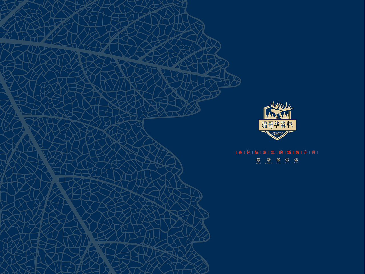 温哥华森林项目VI推导及应用-1(LOGO不是我做的)