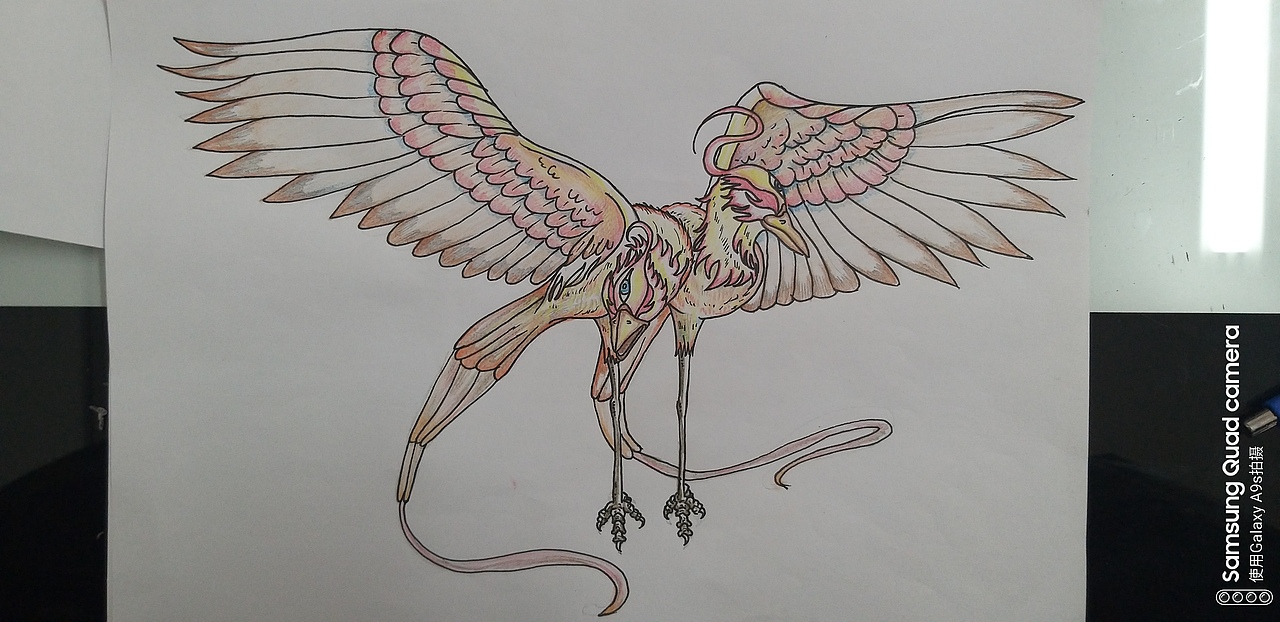 山海经角色设计作业比翼鸟