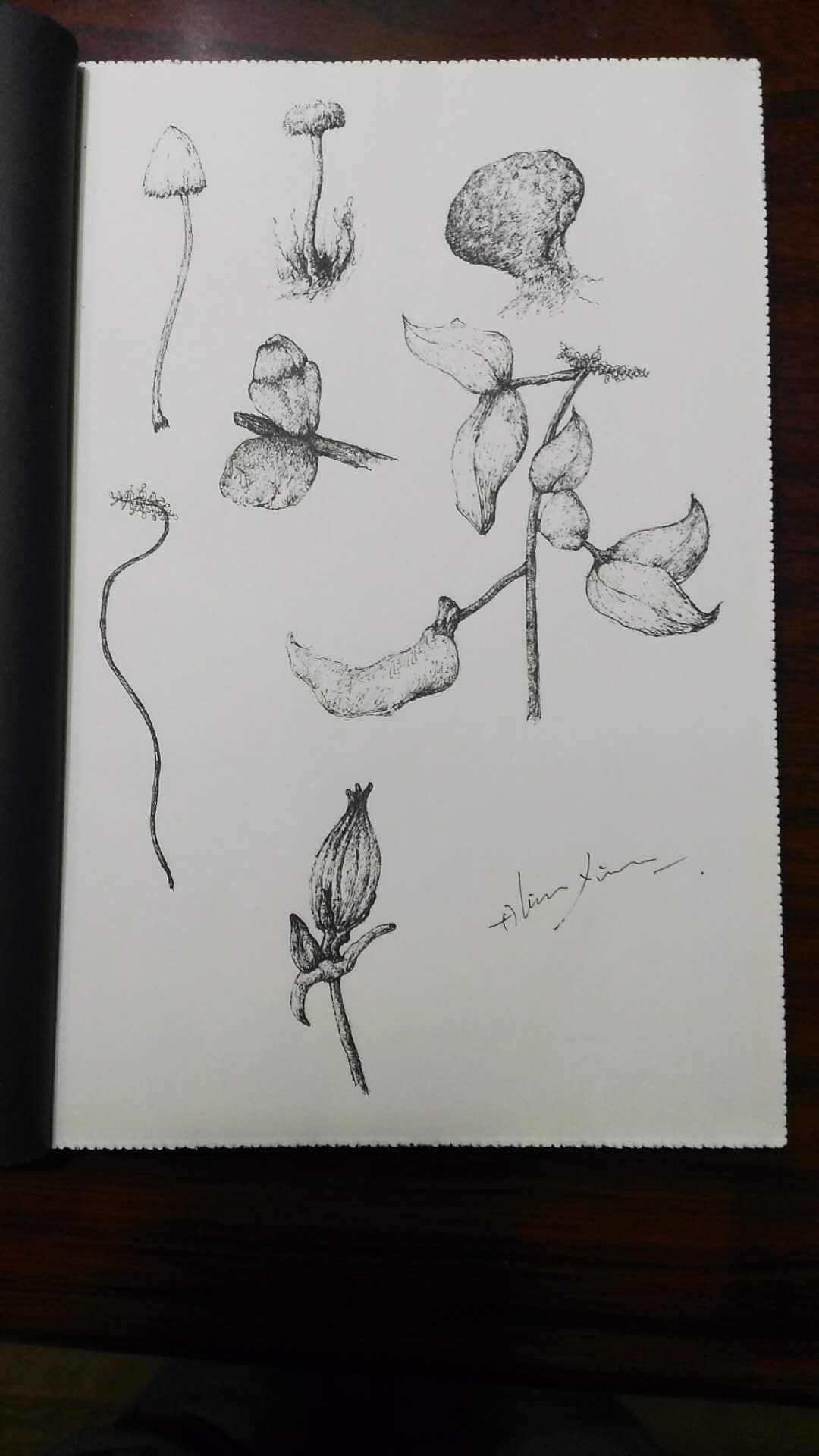 五日，三醒五声（图ZOTczMDE0MTI=） - 创作习作 - 站酷设计师超级大反派原创素材 - 站酷ZCOOL