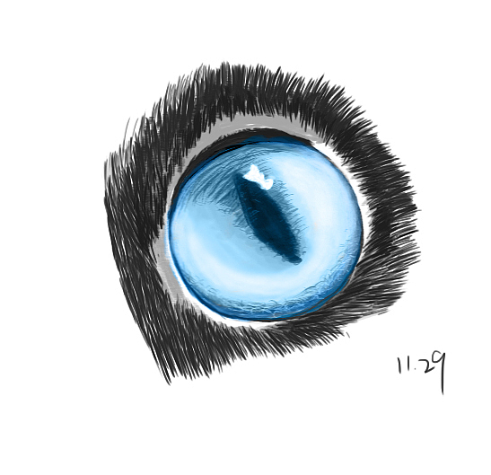 日常小练习-手绘（图ZMTM3OTI0NDQ0） - 其他 - 站酷设计师玄殇七原创素材 - 站酷ZCOOL