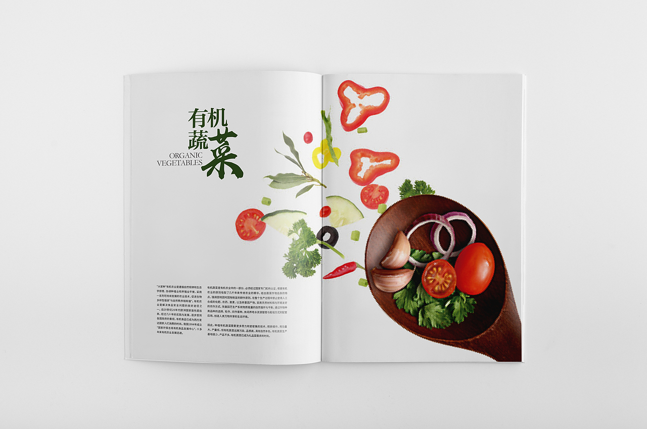 美食画册（图ZNzU1MDc2MTY=） - 品牌 - 站酷设计师陈添助原创素材 - 站酷ZCOOL