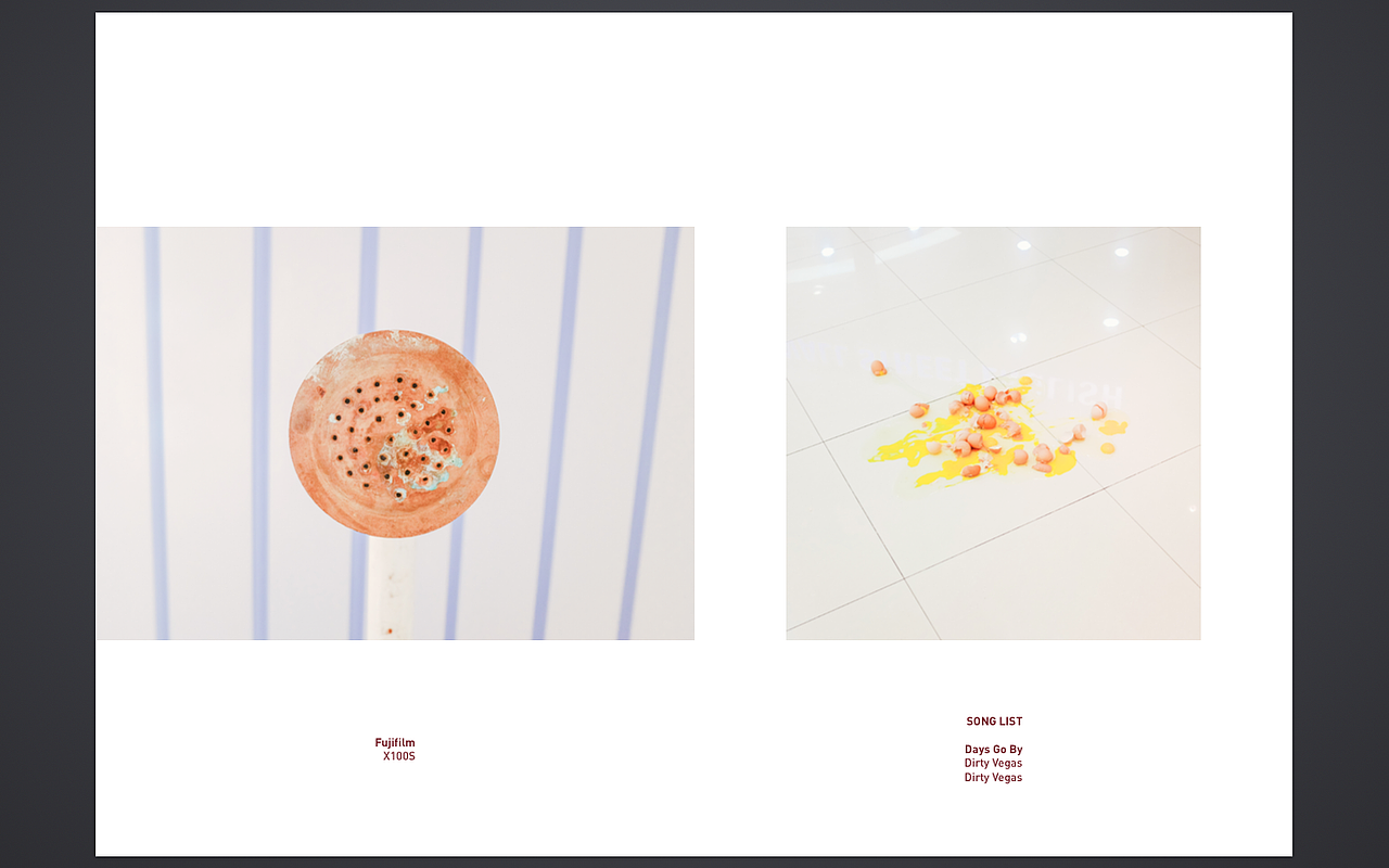 照片书:《 Fake Plastic Life 》Vol.01