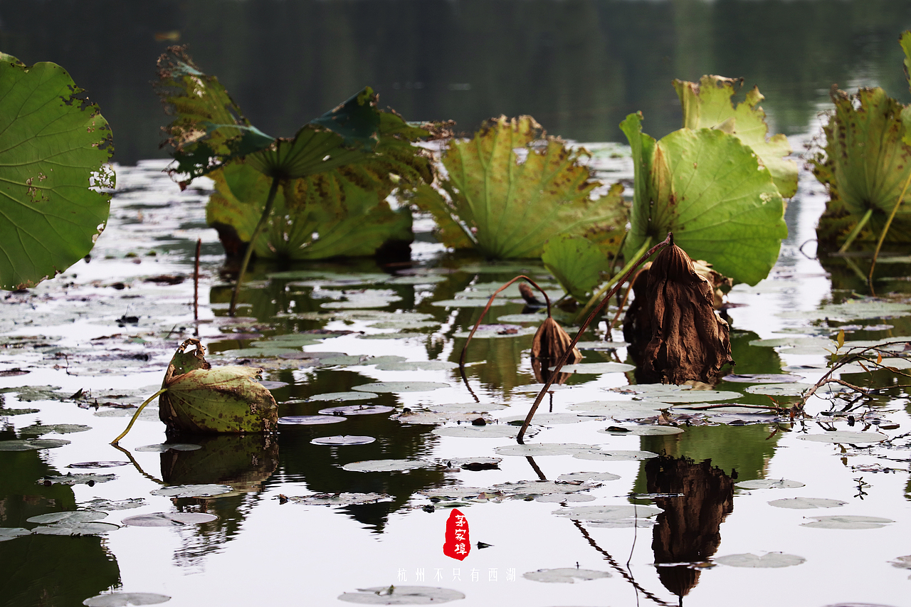 杭州不只有西湖(二)