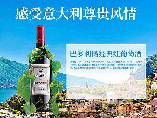 巴多利诺经典红葡萄酒详情页