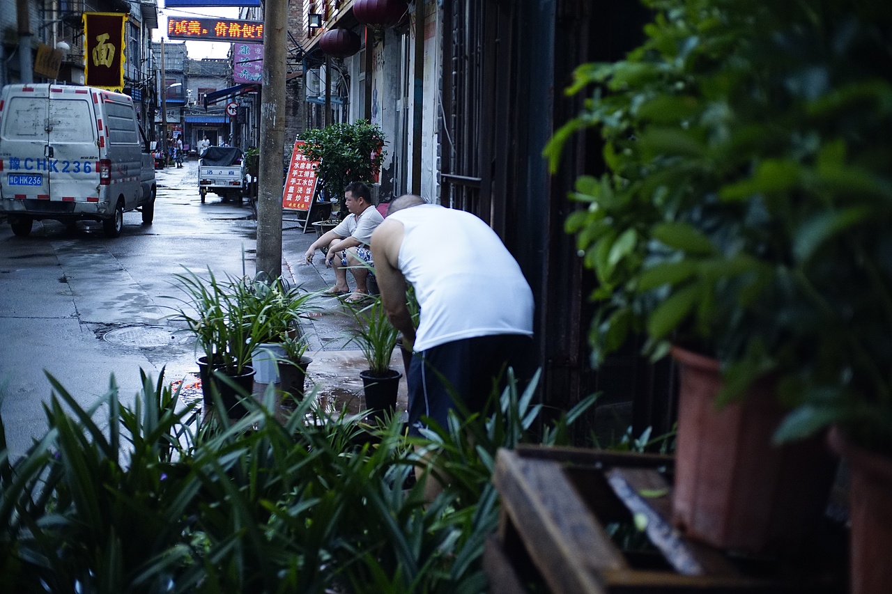 阵雨过后（图ZMTIzNTYyNjcy） - 产品摄影 - 站酷设计师山房堂元壹原创素材 - 站酷ZCOOL