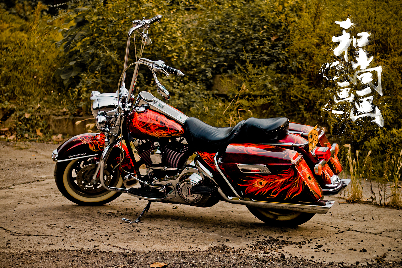 自己画了一辆哈雷摩托车艺术涂装