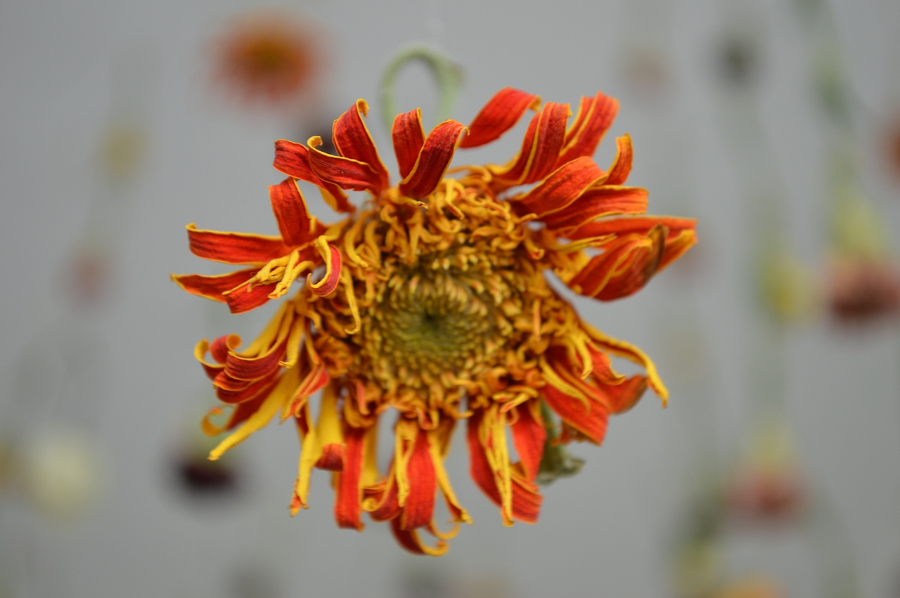 摄影（图ZNTMyMTA3MTI=） - 产品摄影 - 站酷设计师Bulu鱼原创素材 - 站酷ZCOOL