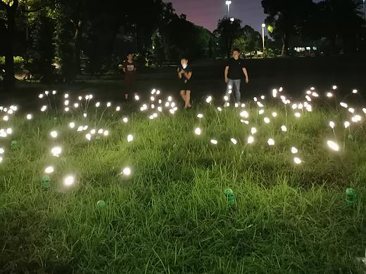 户外发光萤火虫灯公园草坪亮化景观灯生产工厂铭星