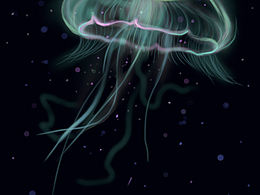 水母原创
