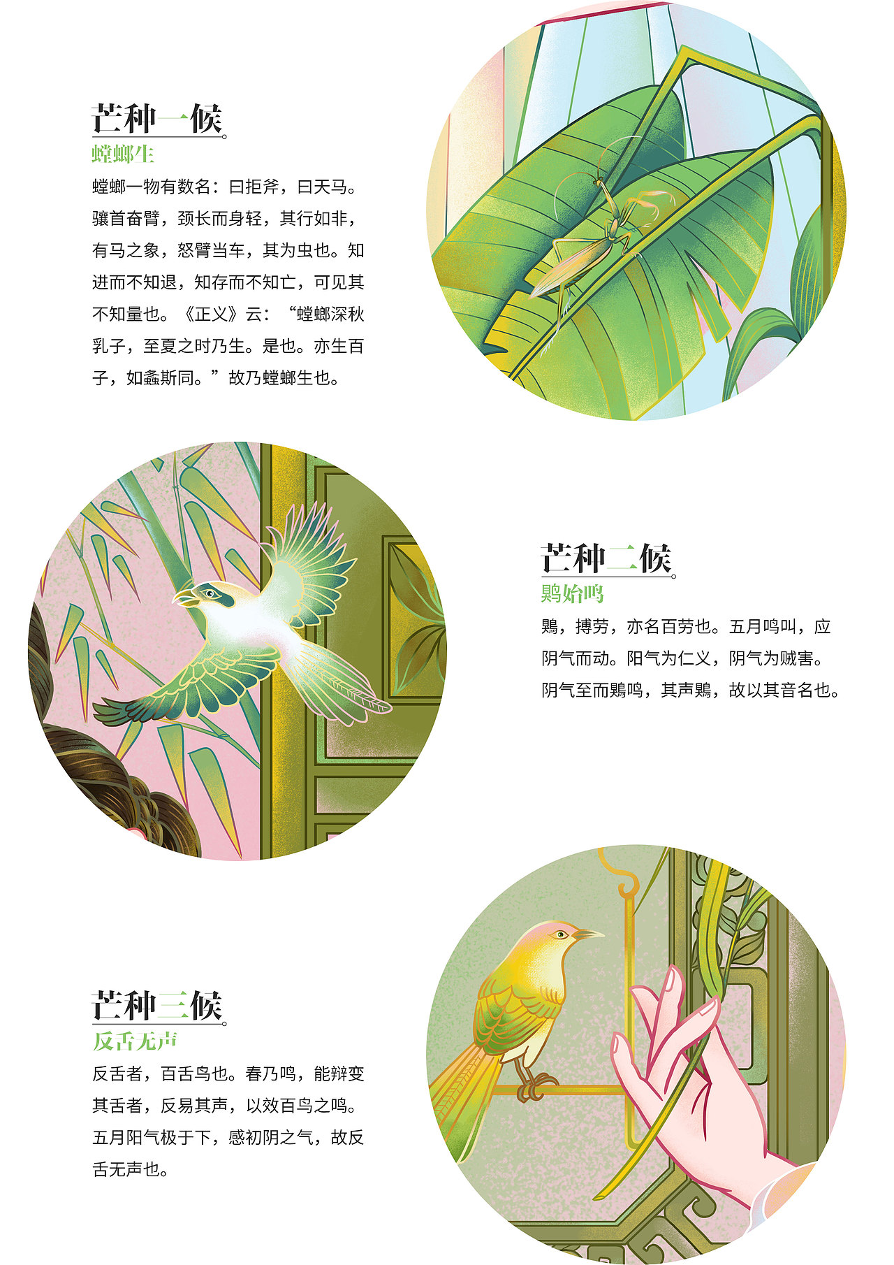 今日芒種——亦稼亦穡（圖ZMjU3MDM2OTk2） - 創(chuàng)作習(xí)作 - 站酷設(shè)計師石滿Ssshiman原創(chuàng)素材 - 站酷ZCOOL