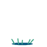 第一稿的LOGO动画