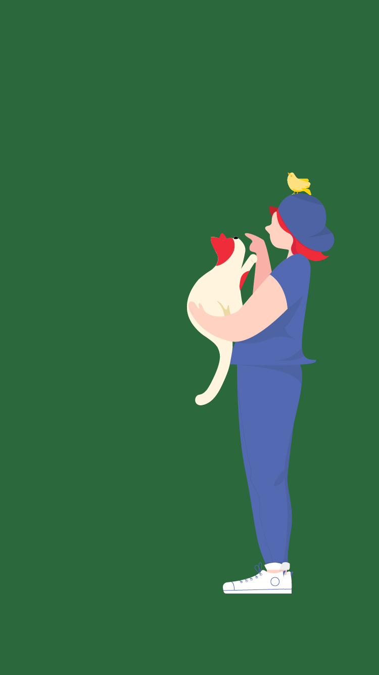 豆果er的个人主页（背景预览） - 主页背景设置 - 站酷设计师豆果er原创素材 - 站酷ZCOOL