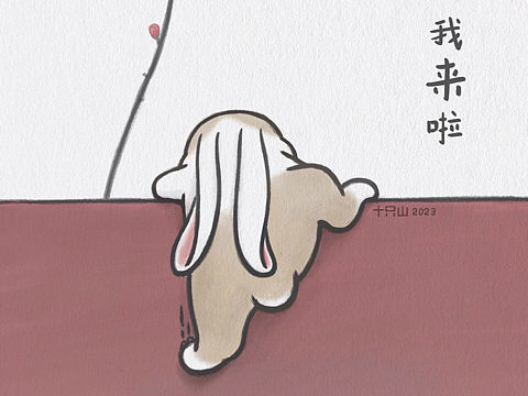 去年跨年‘爬墙虎’，今年跨年‘爬墙兔’来啦～