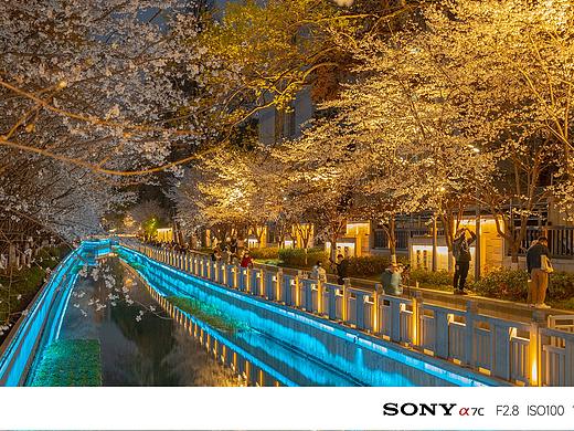 总要来趟南京吧