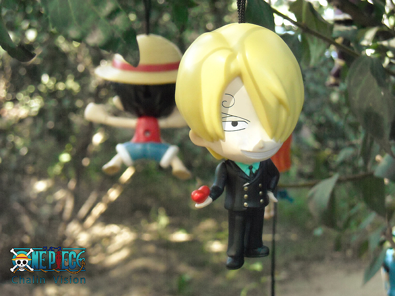 静物摄影—《one piece 海贼王》（图ZMTExODM1ODg=） - 产品摄影 - 站酷设计师貓兒原创素材 - 站酷ZCOOL