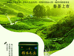 一款茶叶海报