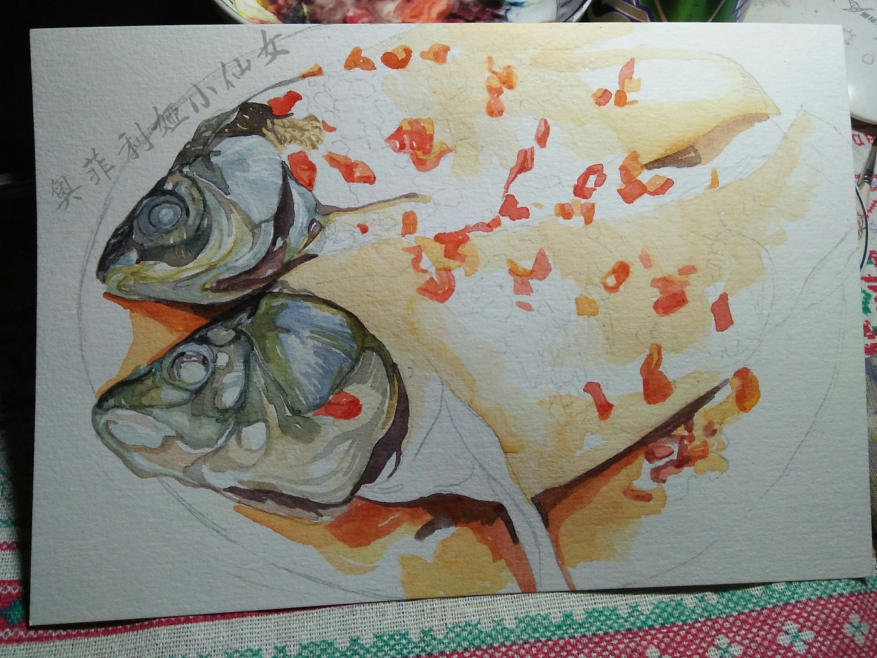 清蒸鲤鱼水彩过程图