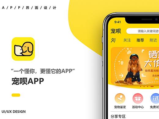 宠呗APP界面设计项目总结