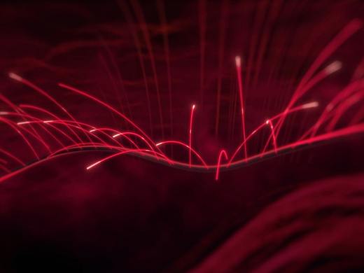 巴黎欧莱雅产品宣传片段临摹