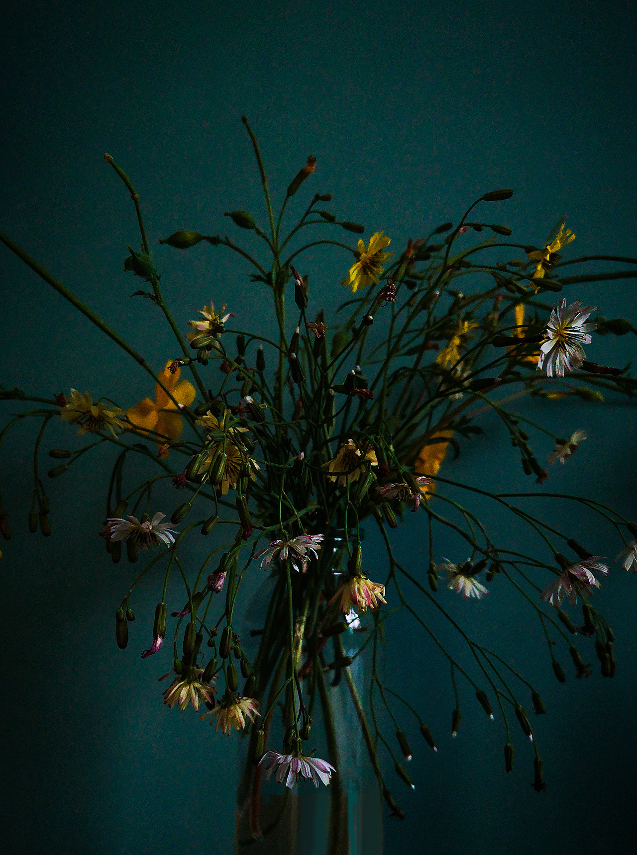 手机随拍~（图ZMTgxMTExNTQw） - 风光摄影 - 站酷设计师祁煜尘原创素材 - 站酷ZCOOL