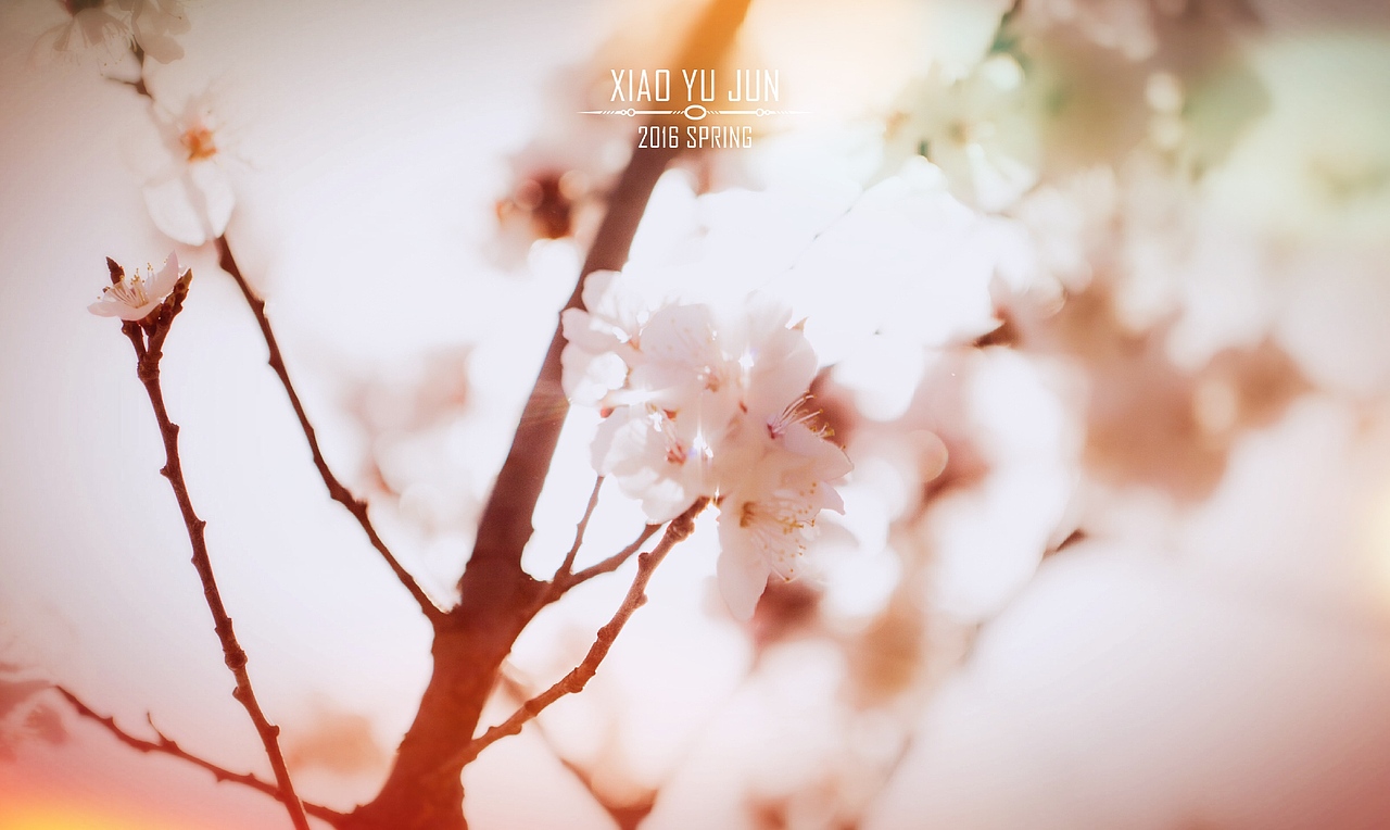 【20140403】没事走两步