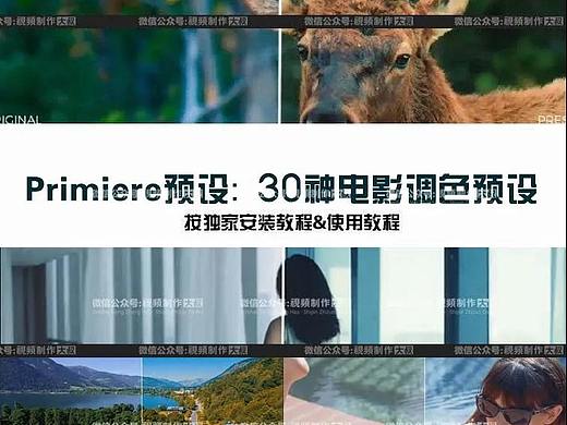 PR调色预设滤镜30组, 调出电影大片质感很简单！