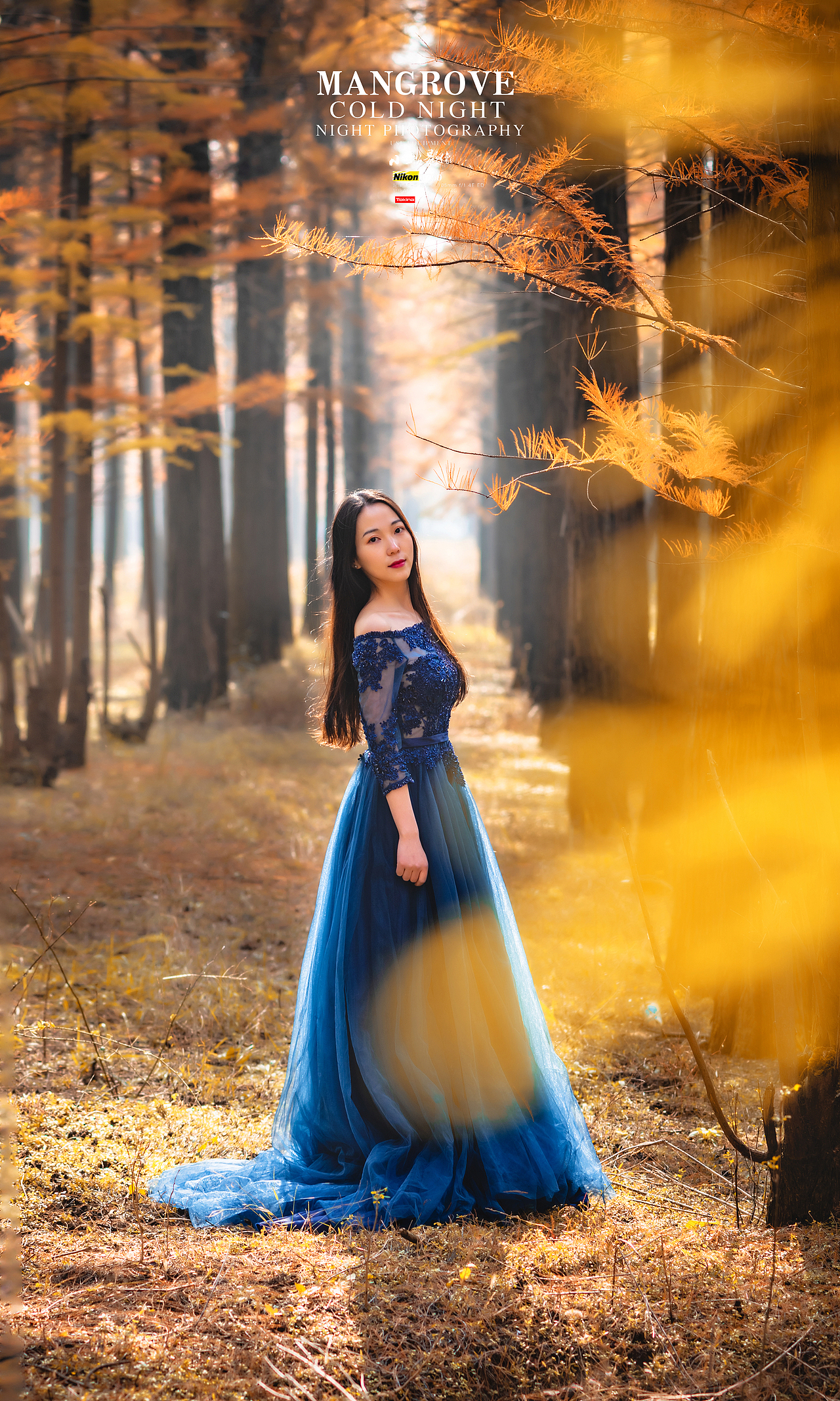 红树林美摄秋景