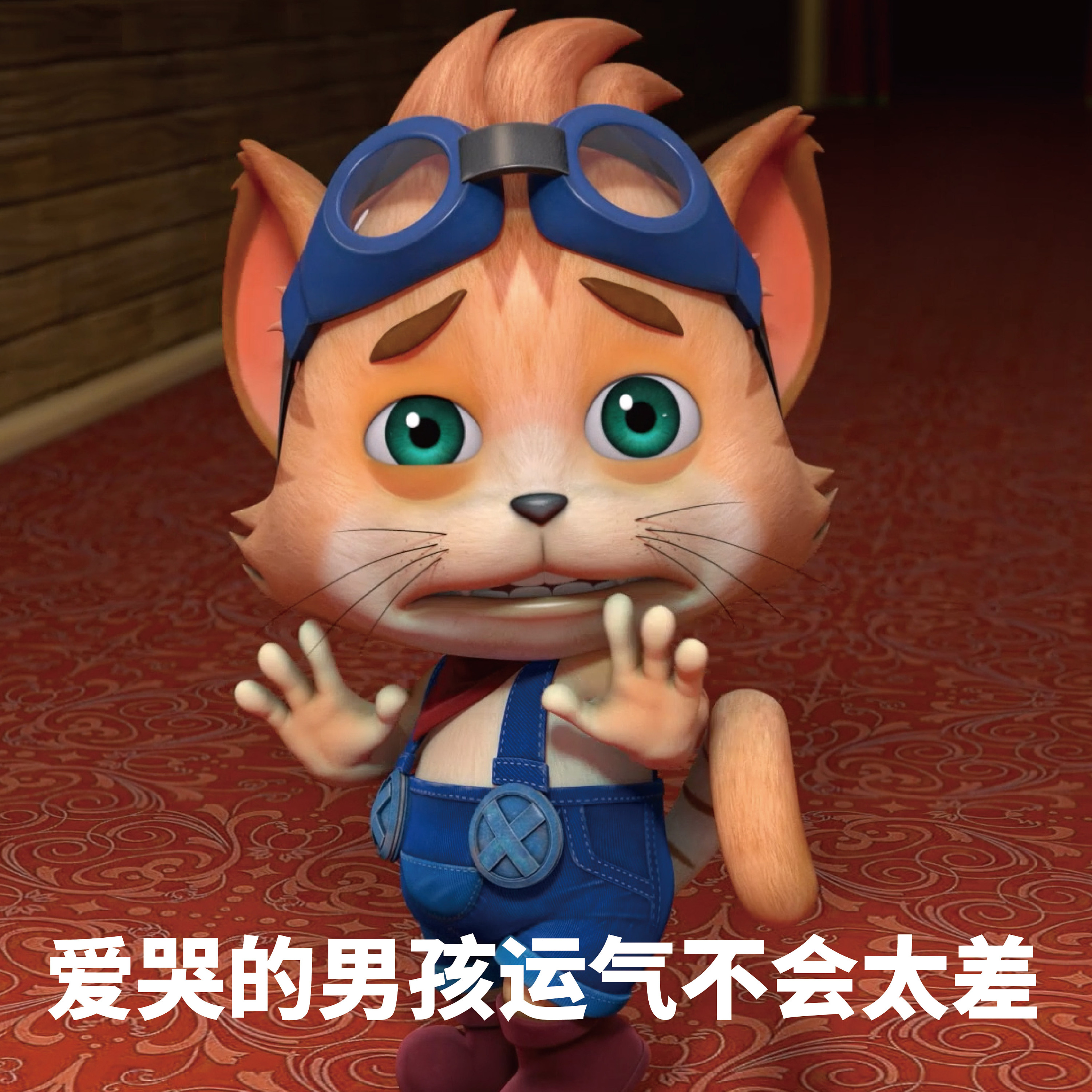 探探猫搞笑图片合集:一周内保存图片会有好事发生哦!