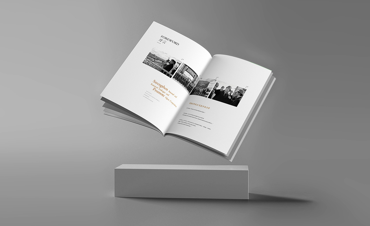 画册设计（图ZMjY5Njk0OTky） - 书籍/画册 - 站酷设计师颜社创意原创素材 - 站酷ZCOOL