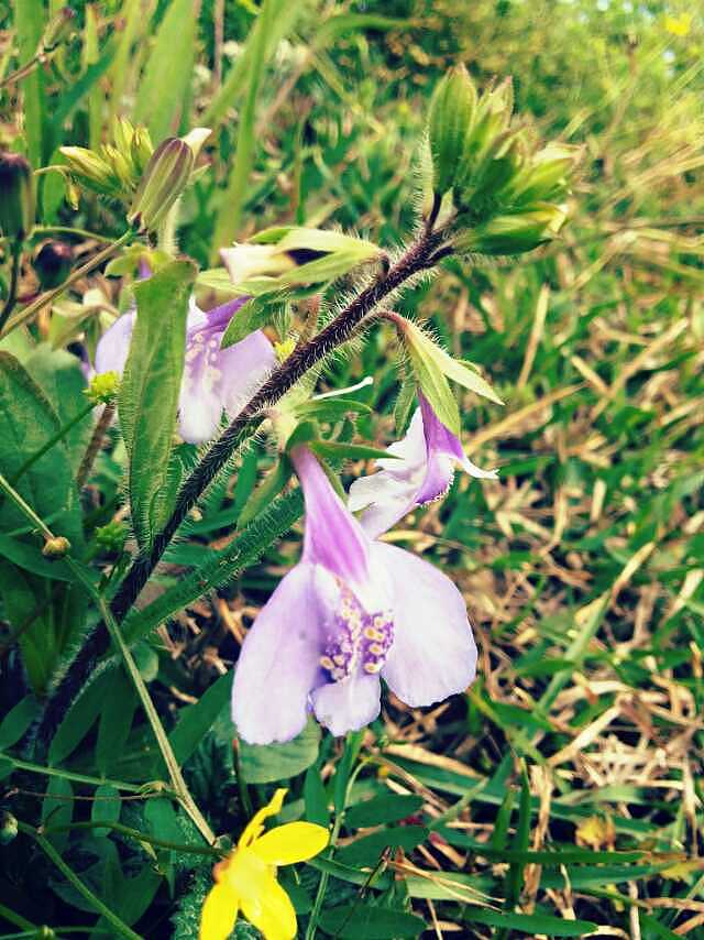 那一年，我的校园，我们的月亮岛