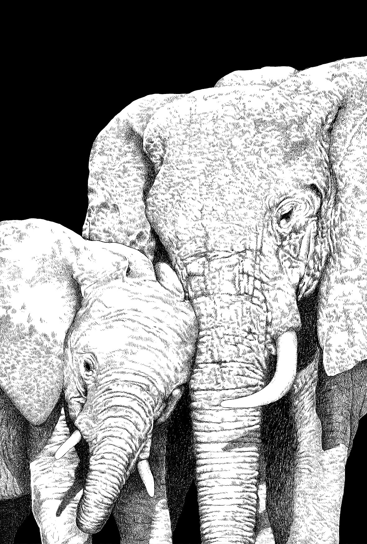 楚歌钢笔画-动物系列（图ZMTIxNDI5NDg=） - 艺术插画 - 站酷设计师楚歌76原创素材 - 站酷ZCOOL