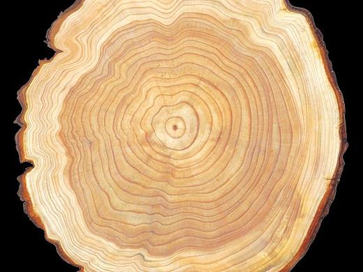 电商详情页设计（个人主页-ZNDYyNDg4Mjg=） - 海报 - 站酷设计师且听风雨哒原创素材 - 站酷ZCOOL