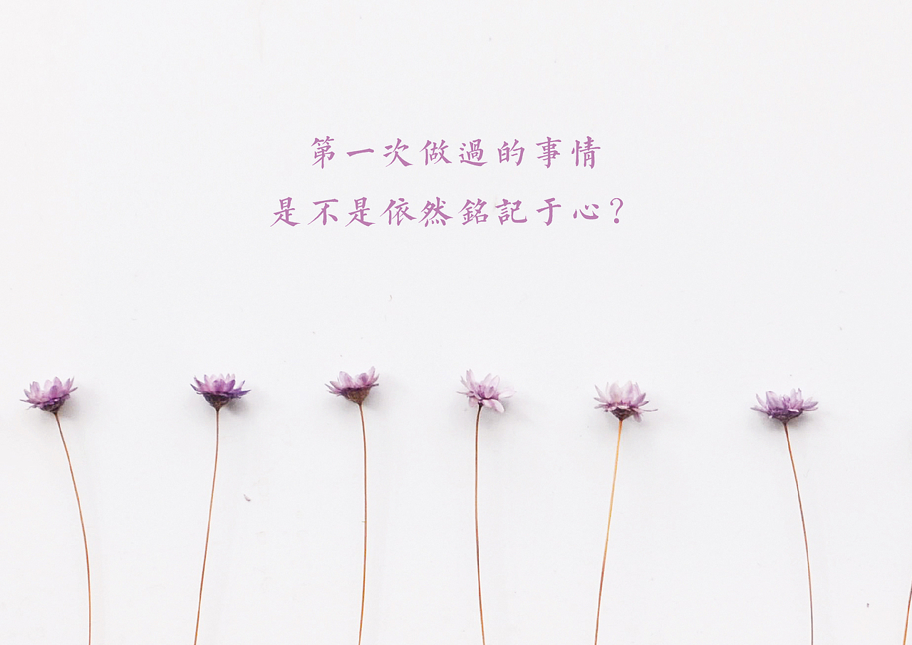 柳江旗下新品牌苗蛋蛋 LOGO 包装 品牌 设计 鸡蛋（图ZODIwNDQ2OTI=） - 品牌 - 站酷设计师良辰创意原创素材 - 站酷ZCOOL